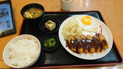 18日・大阪でニャーコちゃん！